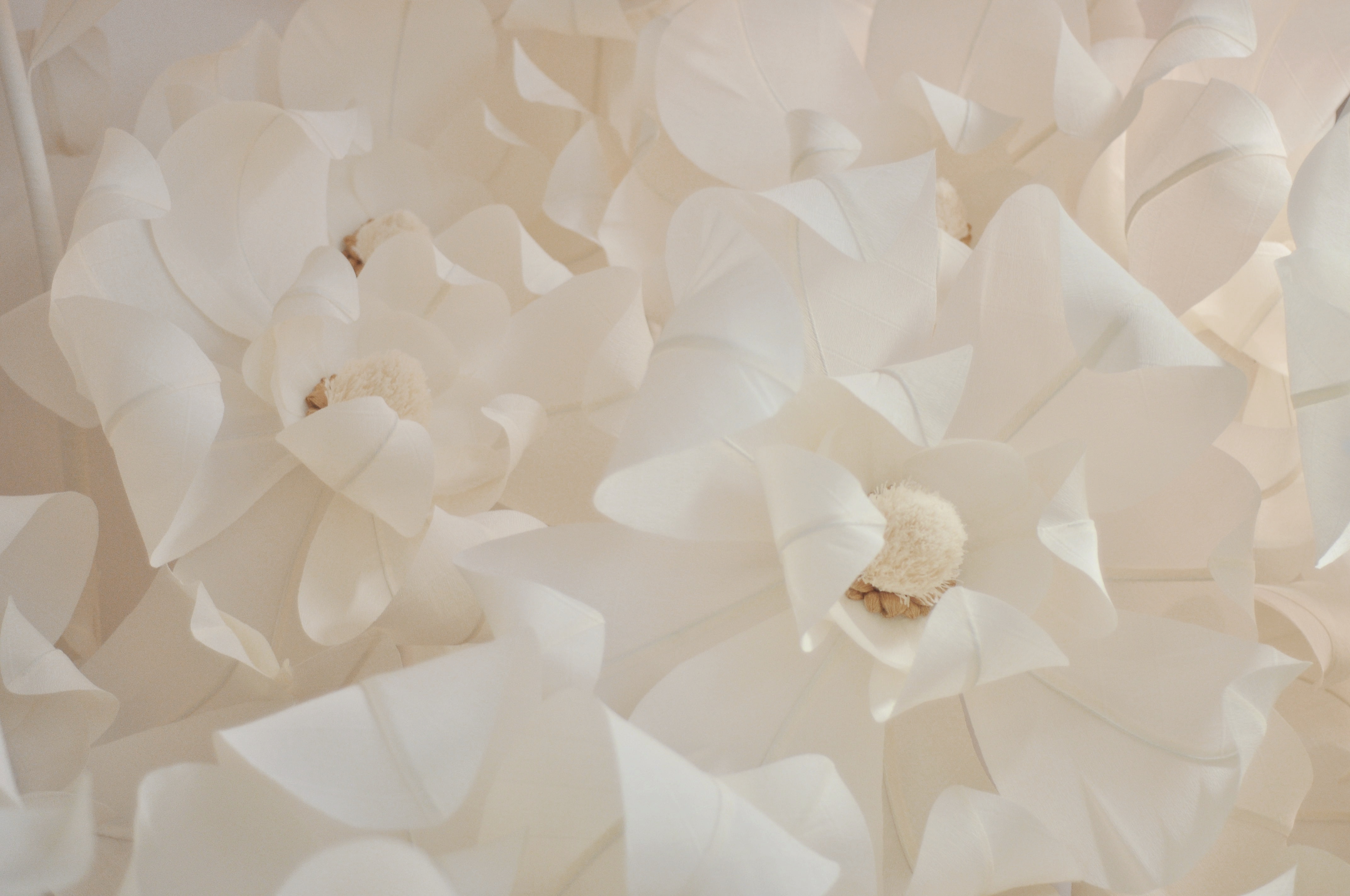 paper_magnolia